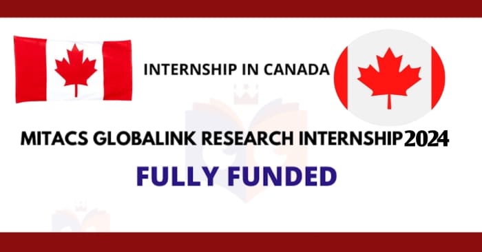 MITACS Globalink Research Internship