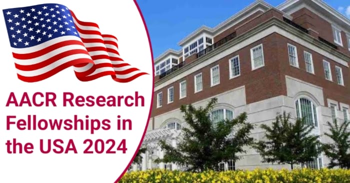 AACR Research Fellowships in the USA